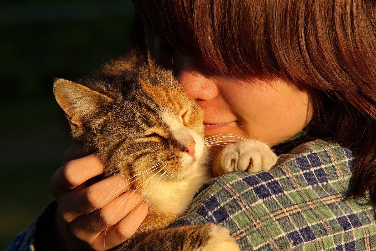  Naturopathie pour animaux 